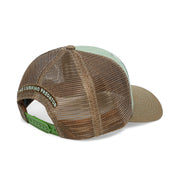 Qassar Performance Cap - Grouper Green Brown