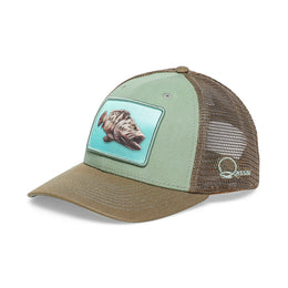 Qassar Performance Cap - Grouper Green Brown